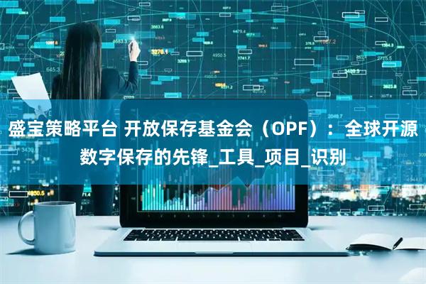 盛宝策略平台 开放保存基金会（OPF）：全球开源数字保存的先锋_工具_项目_识别