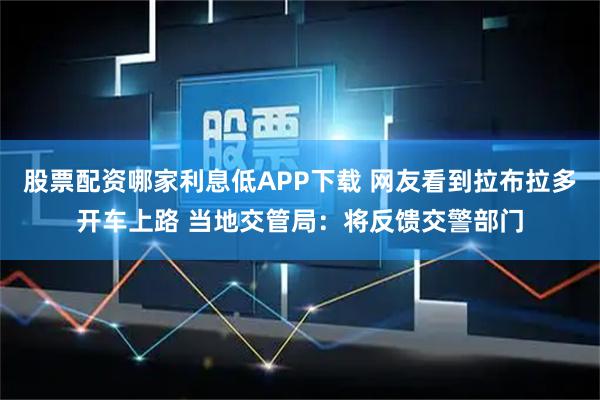 股票配资哪家利息低APP下载 网友看到拉布拉多开车上路 当地交管局：将反馈交警部门