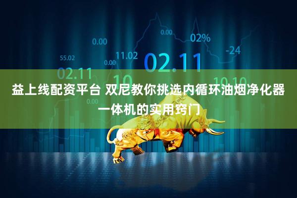 益上线配资平台 双尼教你挑选内循环油烟净化器一体机的实用窍门