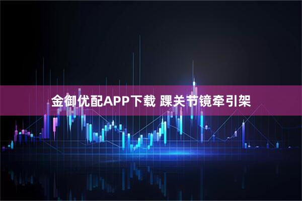 金御优配APP下载 踝关节镜牵引架
