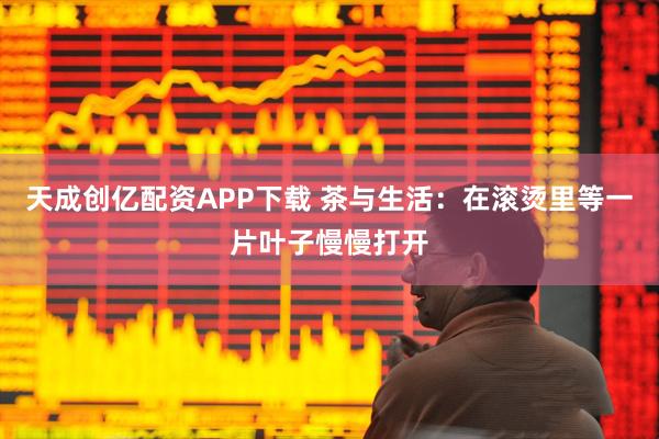 天成创亿配资APP下载 茶与生活：在滚烫里等一片叶子慢慢打开