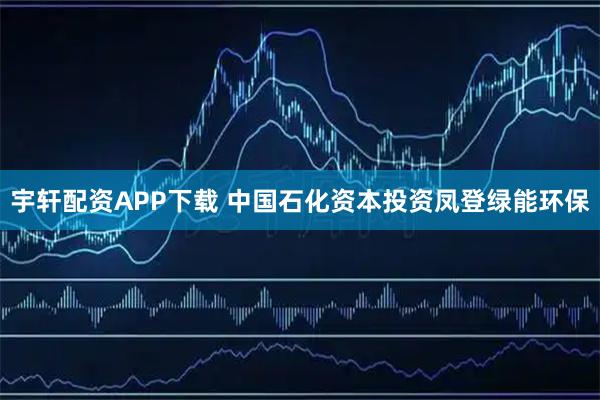 宇轩配资APP下载 中国石化资本投资凤登绿能环保
