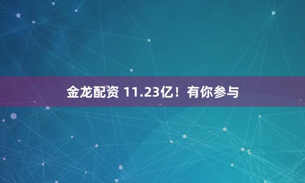 金龙配资 11.23亿！有你参与
