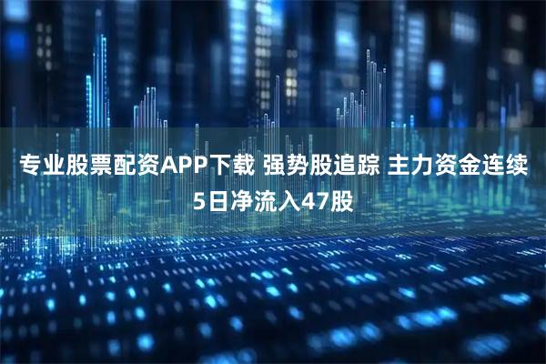 专业股票配资APP下载 强势股追踪 主力资金连续5日净流入47股